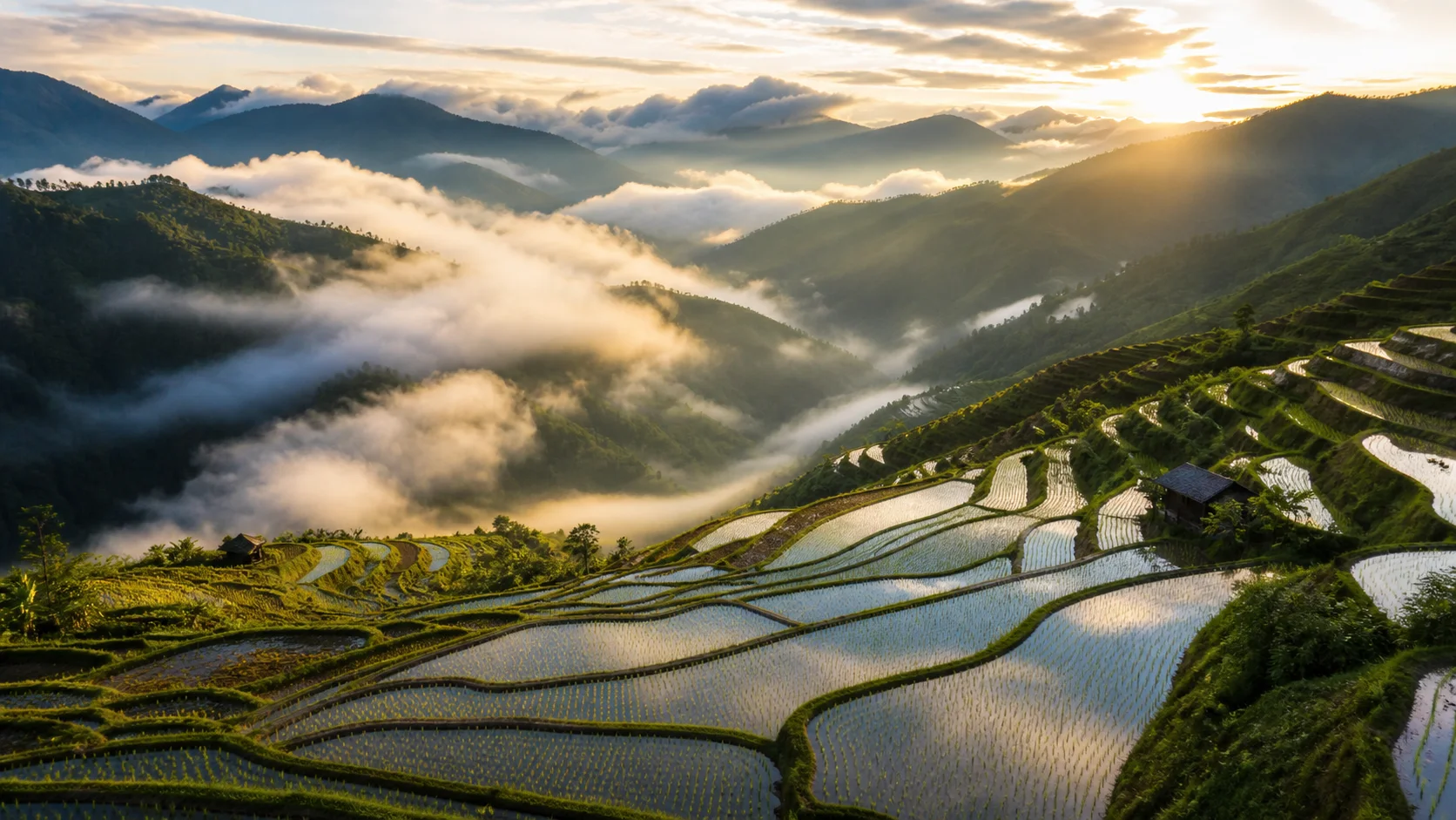 Reflective rice terraces winding through misty mountains
